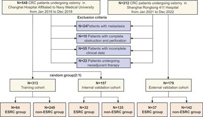 Prospective nutrition-inflammation markers for predicting early stoma-related complications in patients with colorectal cancer undergoing enterostomy